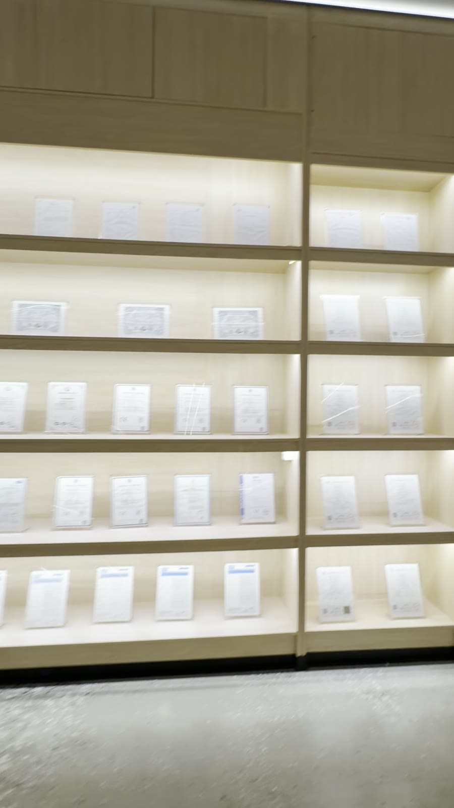 Certificate display used to begin model-specific document verification